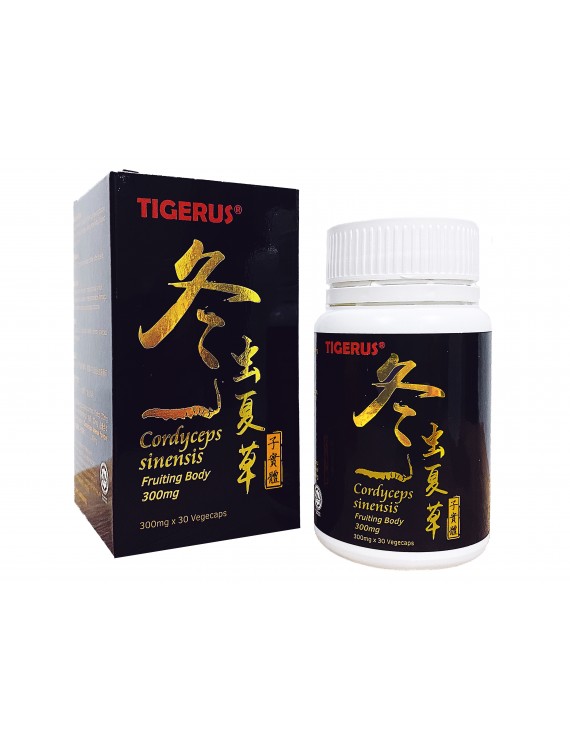 TIGERUS® Cordyceps Sinensis Fruiting Body 30’S