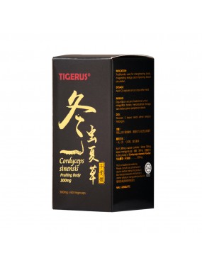 TIGERUS® Cordyceps Sinensis Fruiting Body 60’s