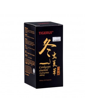 TIGERUS® Cordyceps Sinensis Fruiting Body 60’s