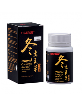 TIGERUS® Cordyceps Sinensis Fruiting Body 60’s